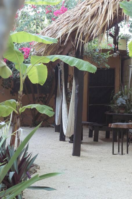Jungla Bacalar Apartment Exterior photo