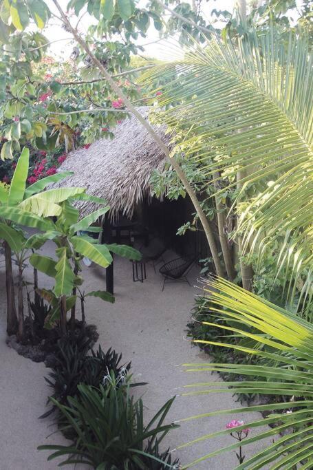 Jungla Bacalar Apartment Exterior photo