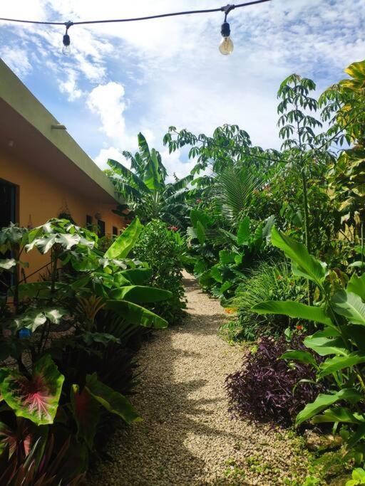 Jungla Bacalar Apartment Exterior photo