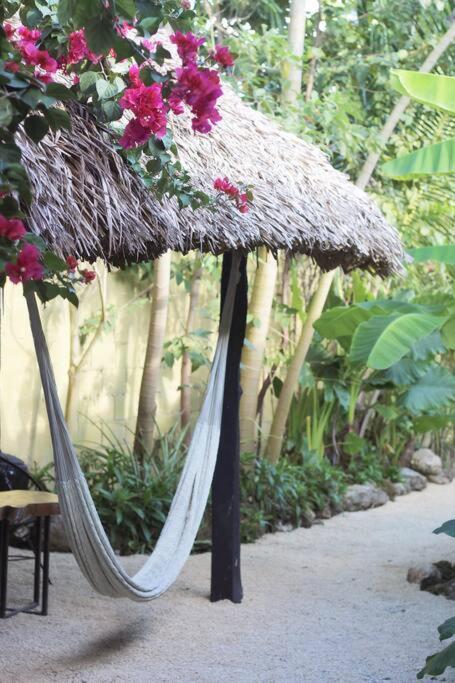 Jungla Bacalar Apartment Exterior photo