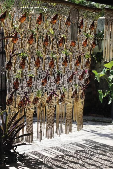 Jungla Bacalar Apartment Exterior photo