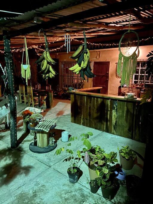 Jungla Bacalar Apartment Exterior photo