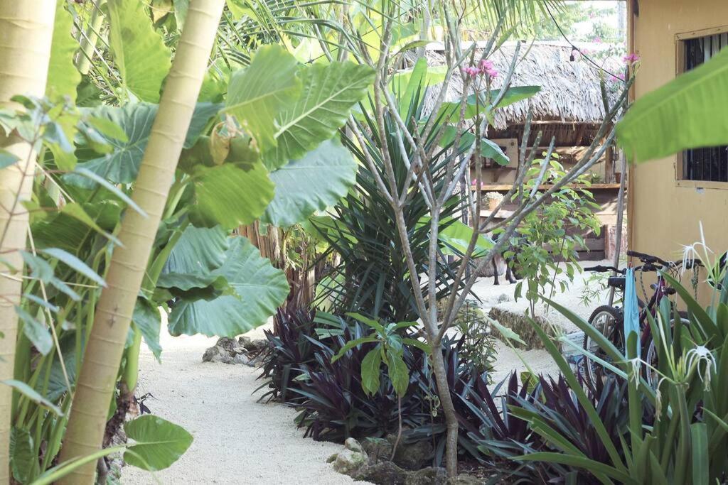 Jungla Bacalar Apartment Exterior photo