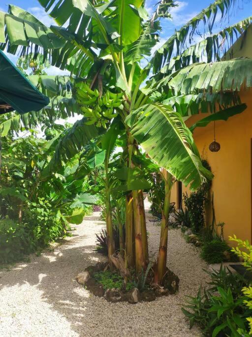 Jungla Bacalar Apartment Exterior photo